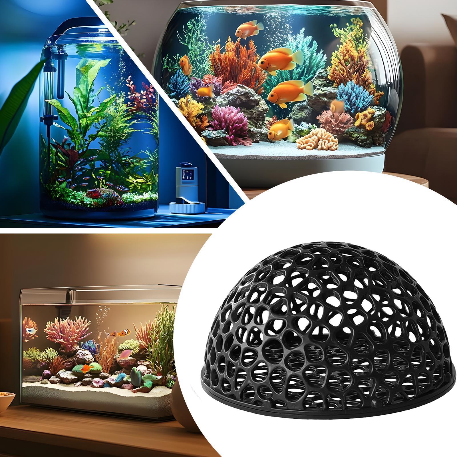 Home Decor Habitat - Cueva de Cría para Camarones, Decoración
