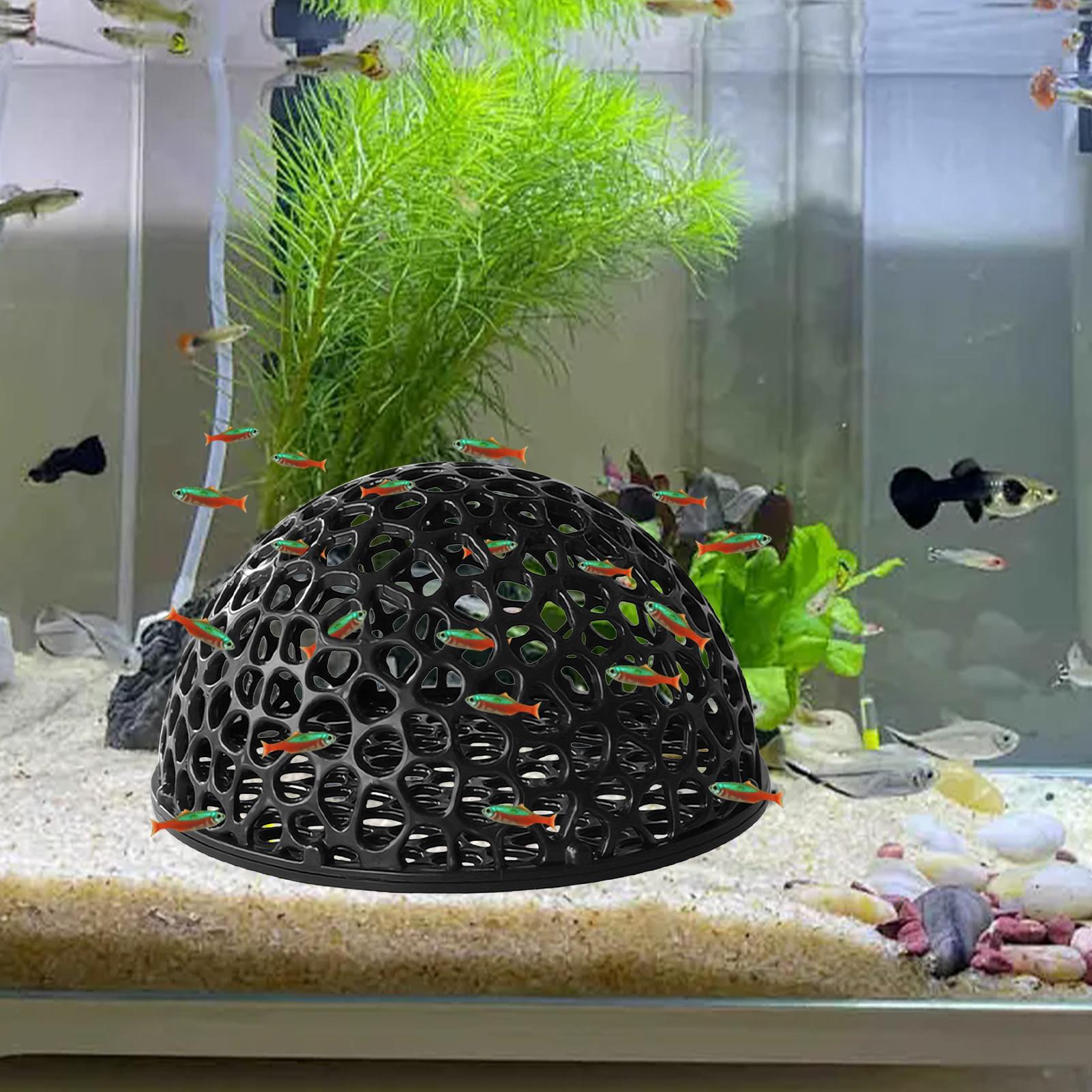 Home Decor Habitat - Cueva de Cría para Camarones, Decoración