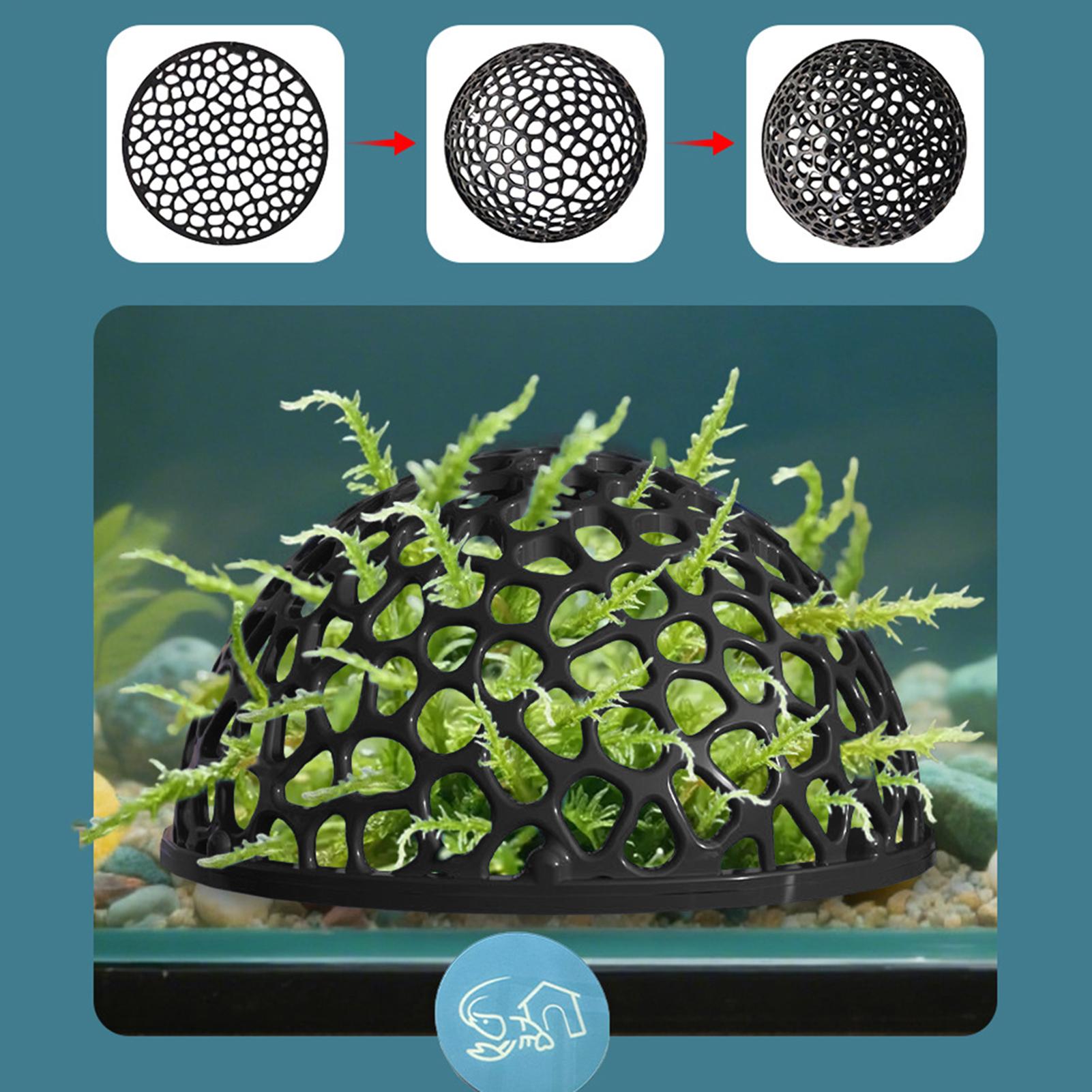 Home Decor Habitat - Cueva de Cría para Camarones, Decoración