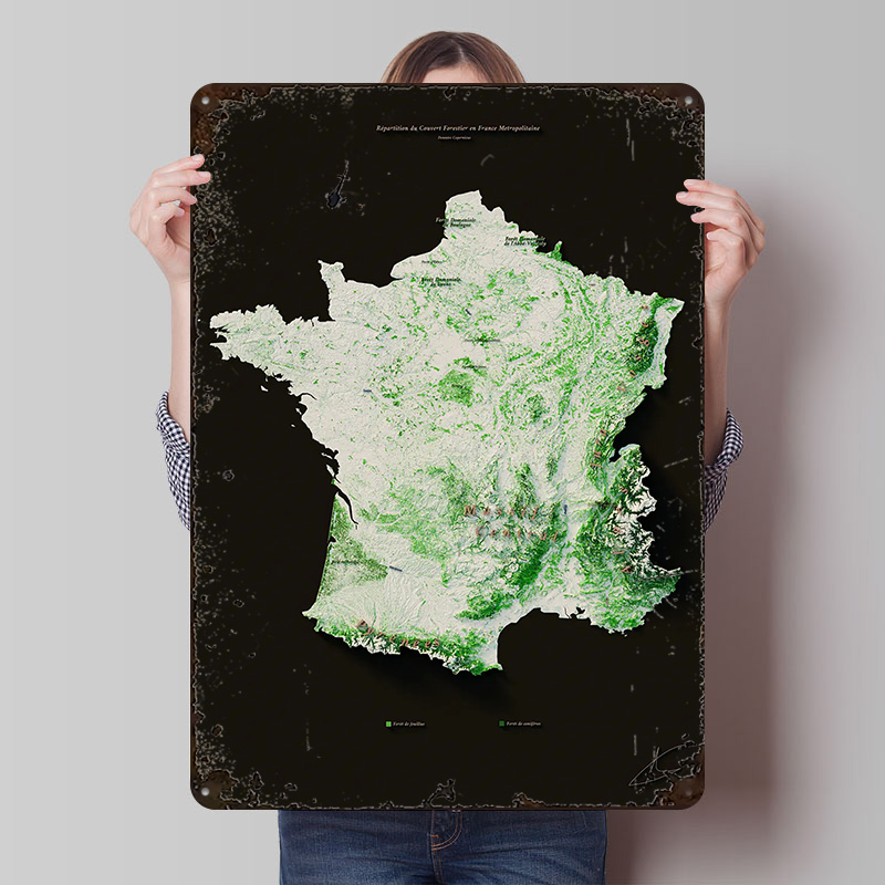 Home Decor Ai - Massifs Forestiers Fran? ?ais-Póster personalizado para