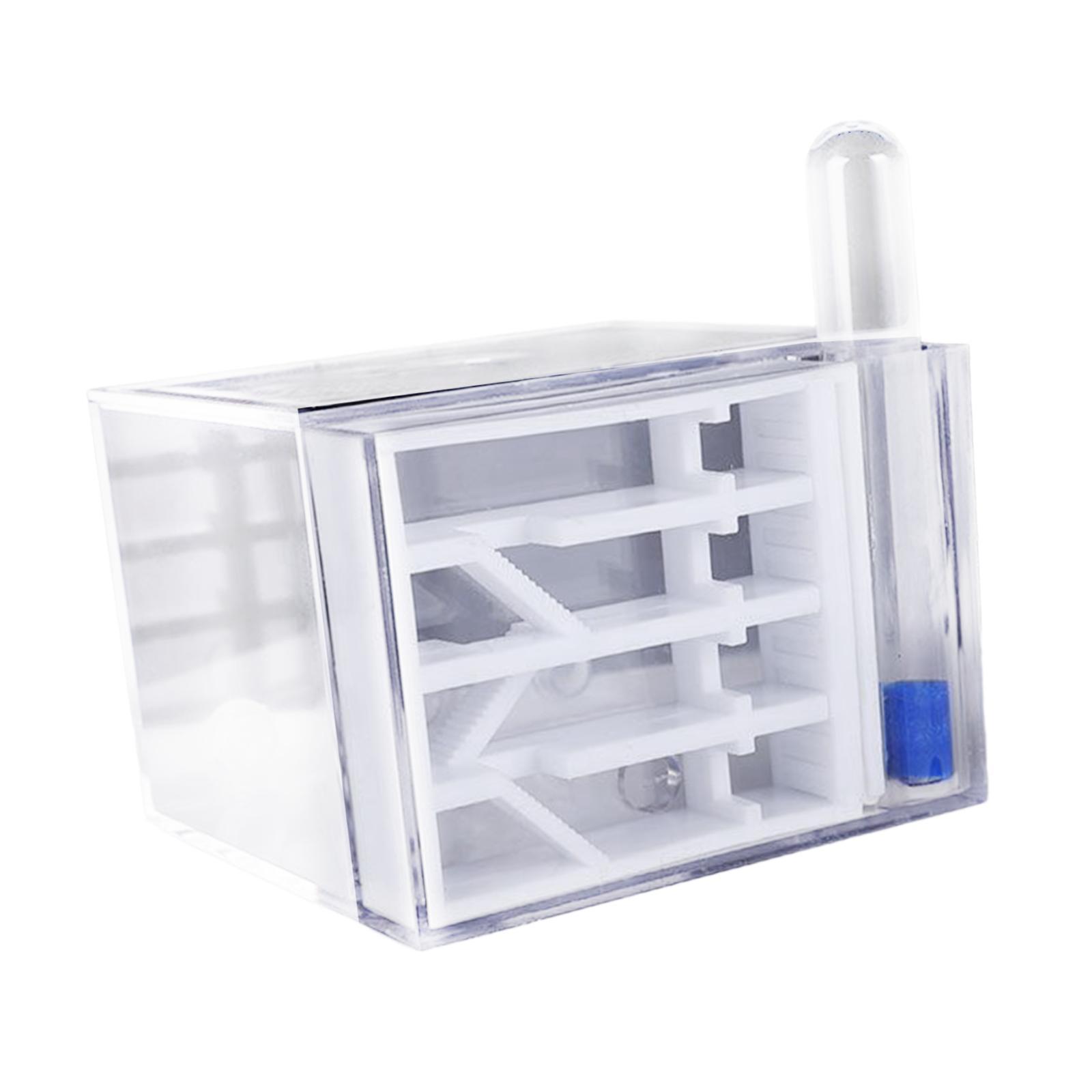 Huevera de Hormigas DIY: Kit E - Home Decor Habitat reseña y precio