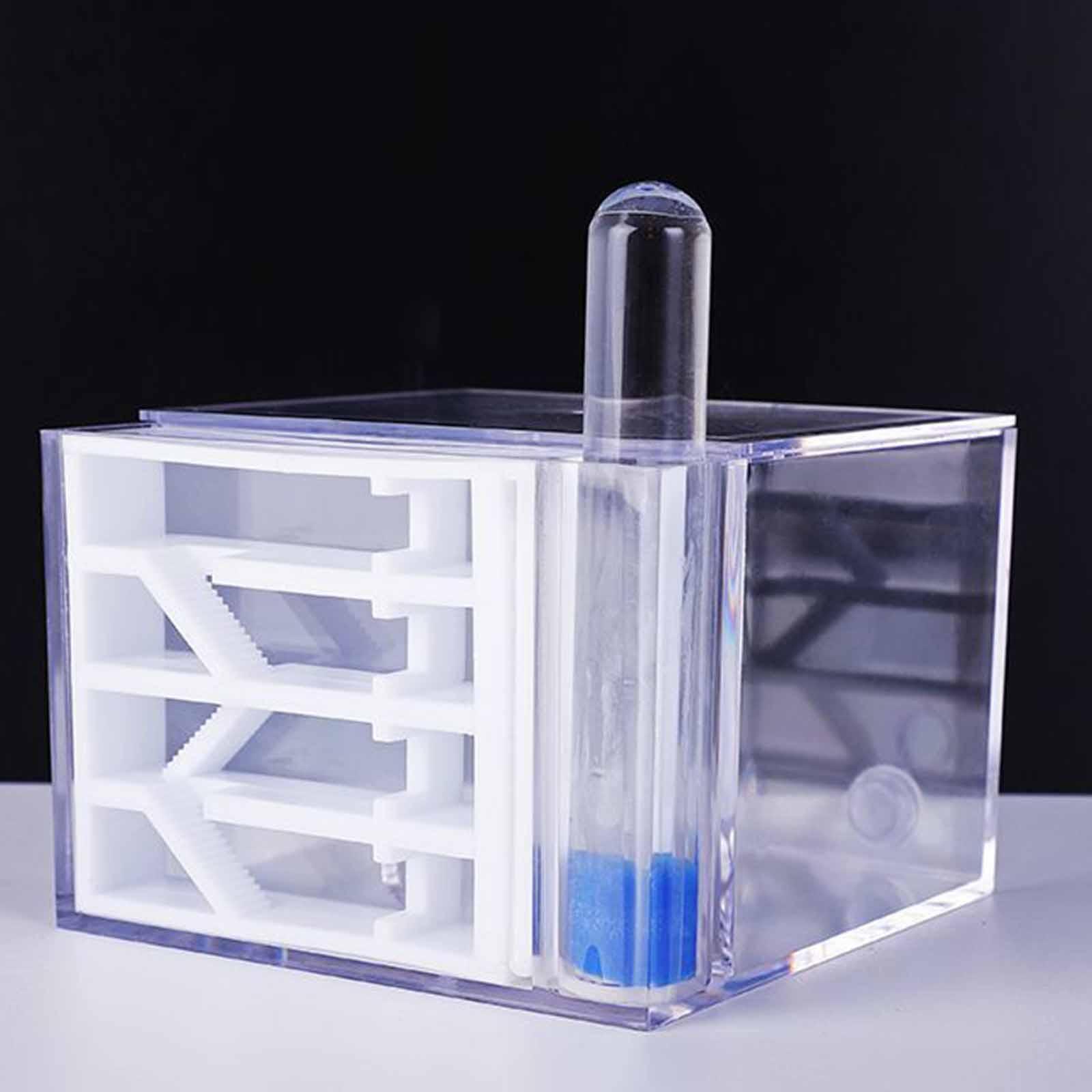 Huevera de Hormigas DIY: Kit E - Home Decor Habitat reseña y precio