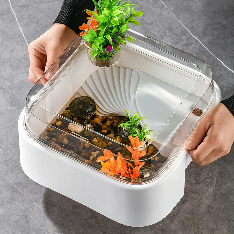 Terrario Transparente para Tor - Home Decor Habitat reseña y precio