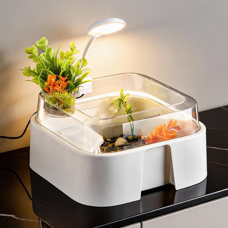 Nueva Terrario Transparente pa - Home Decor Habitat reseña y precio