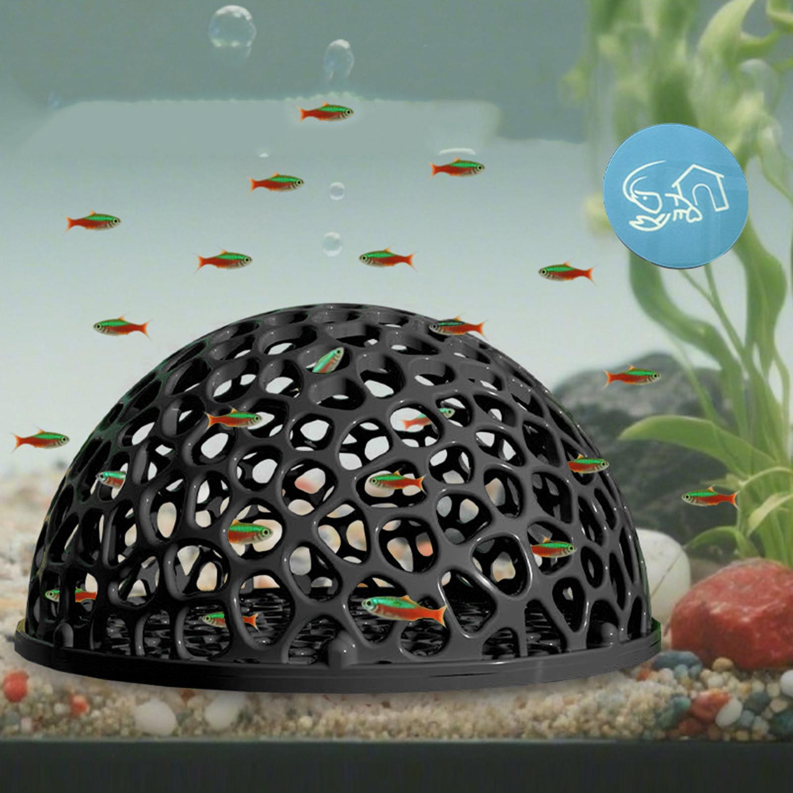 Escondite para Camarones, Esco - Home Decor Habitat reseña y precio