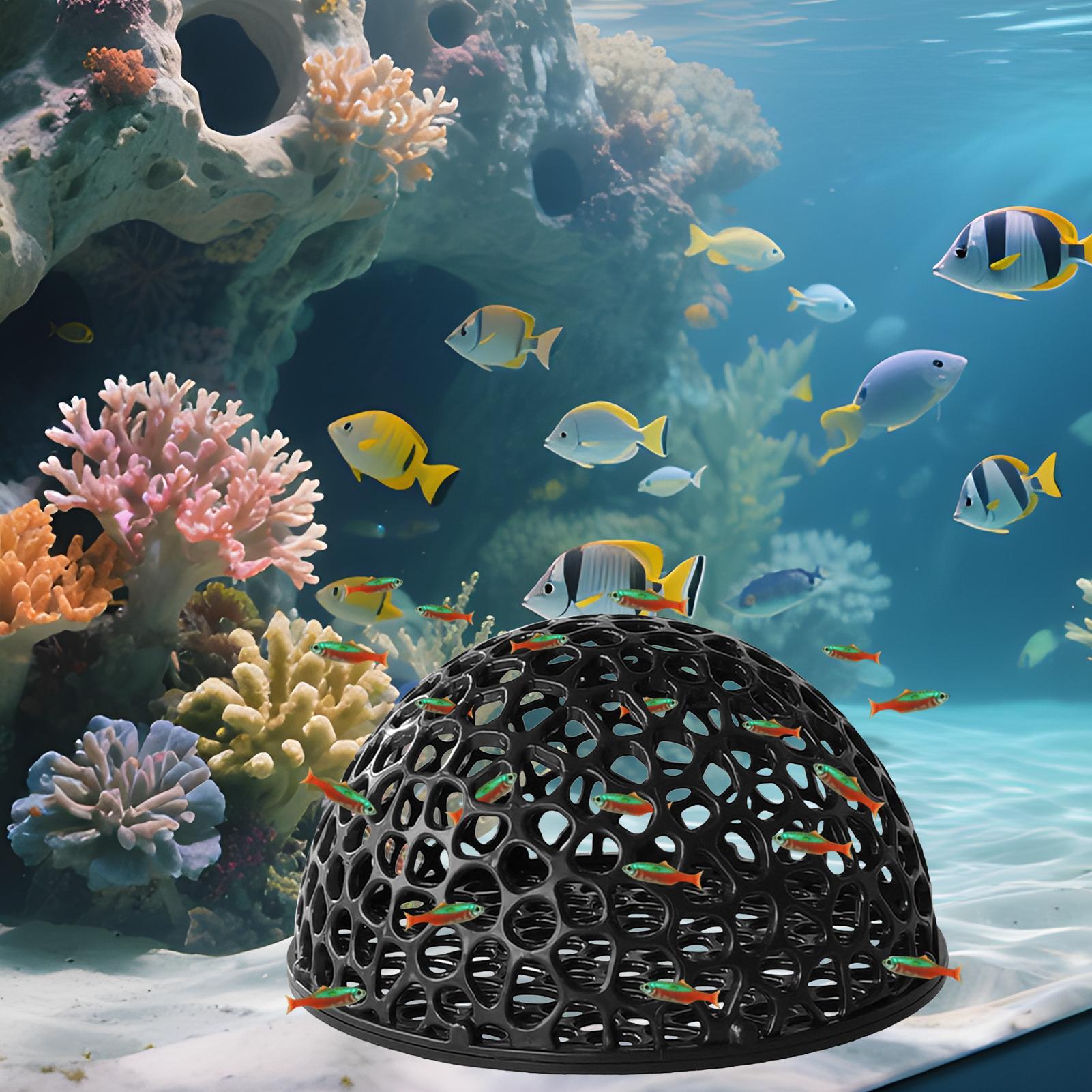 Escondite para Camarones, Esco - Home Decor Habitat reseña y precio