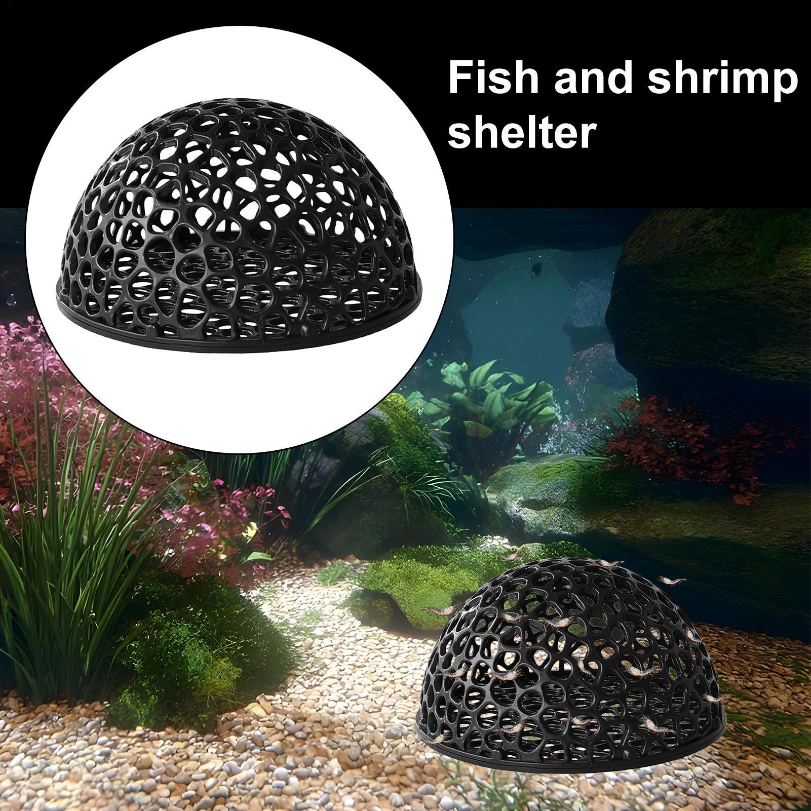 Cueva de Cría para Camarones,  - Home Decor Habitat reseña y precio