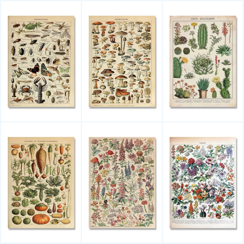 Pósteres e impresiones Vintage - Home Decor Aesthetic Pinterest reseña y precio