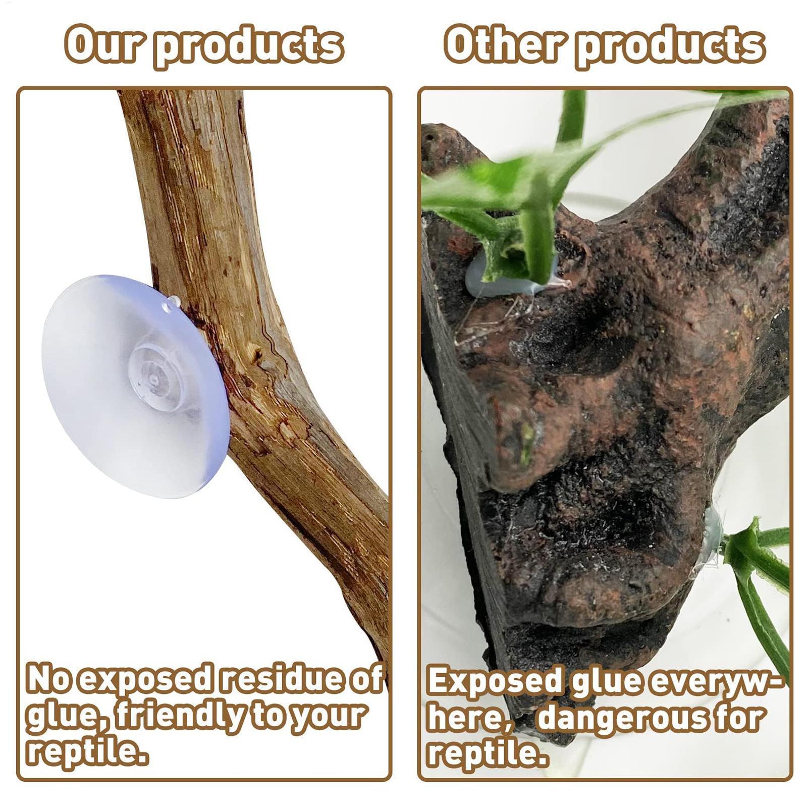 Rama de Madera para Reptiles,  - Home Decor Habitat reseña y precio