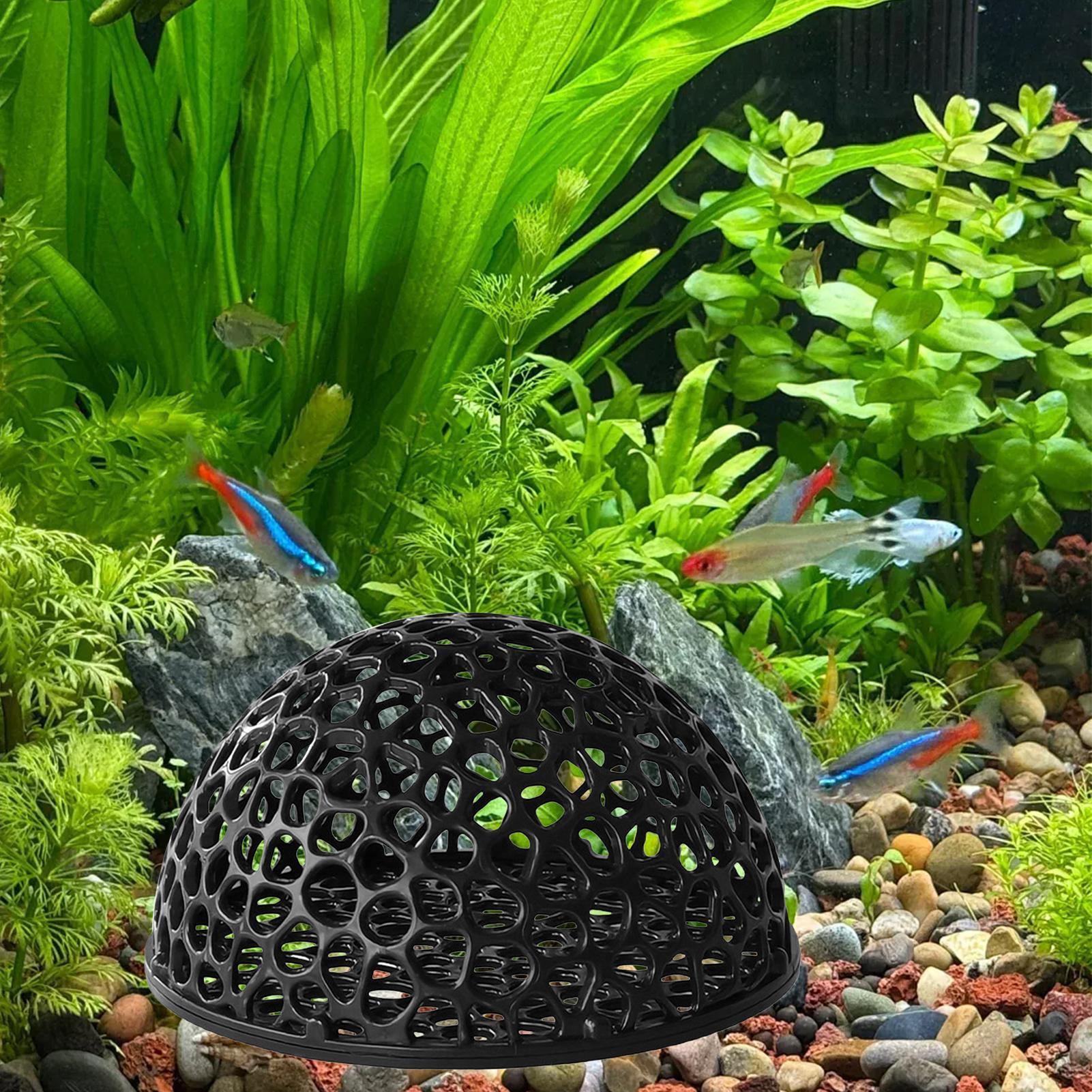 Cueva de Cría para Camarones,  - Home Decor Habitat reseña y precio