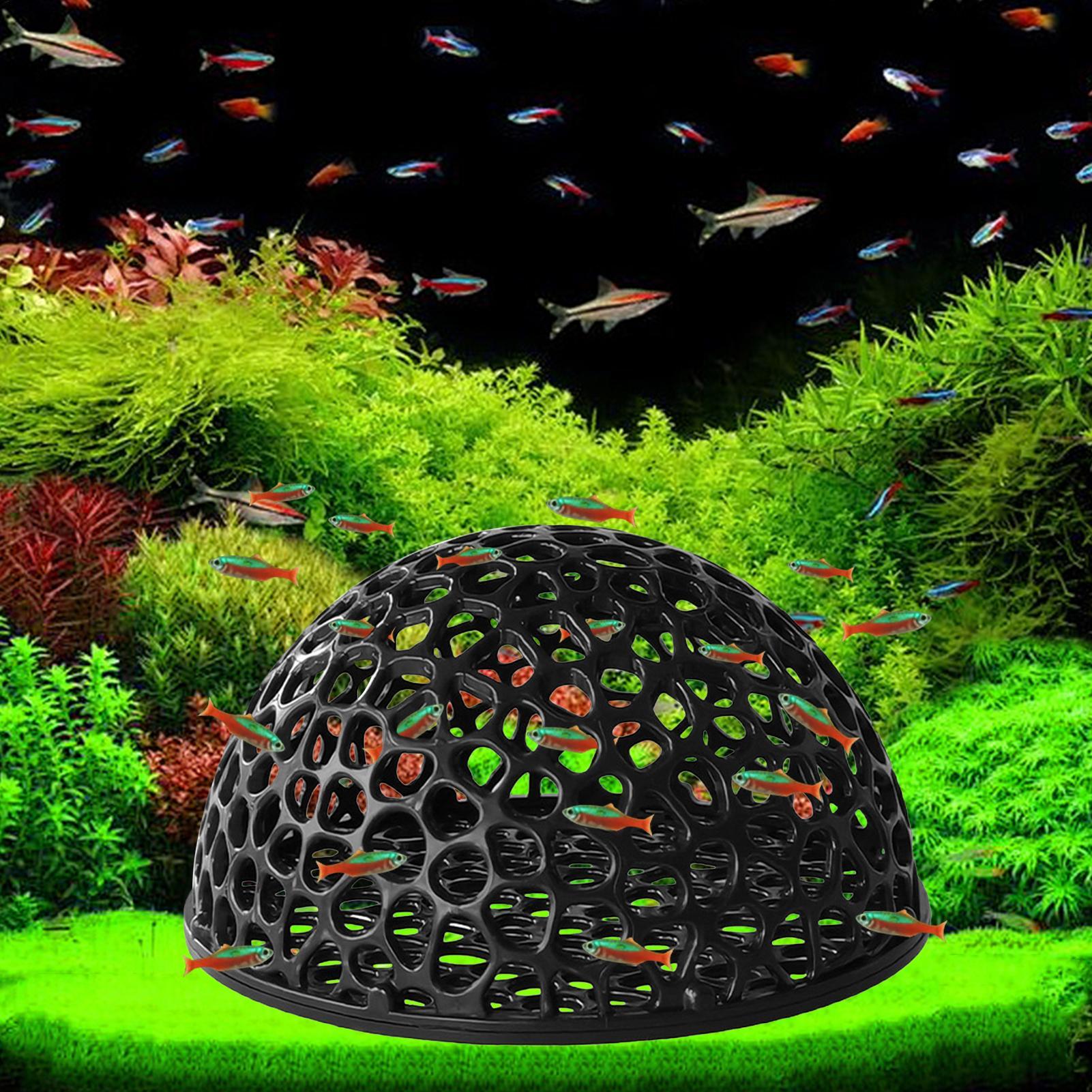 Cueva de Cría para Camarones,  - Home Decor Habitat reseña y precio