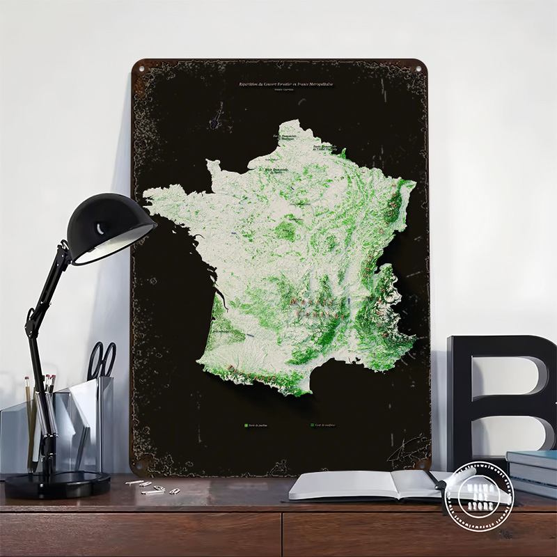 Massifs Forestiers Fran? ?ais- - Home Decor Ai reseña y precio