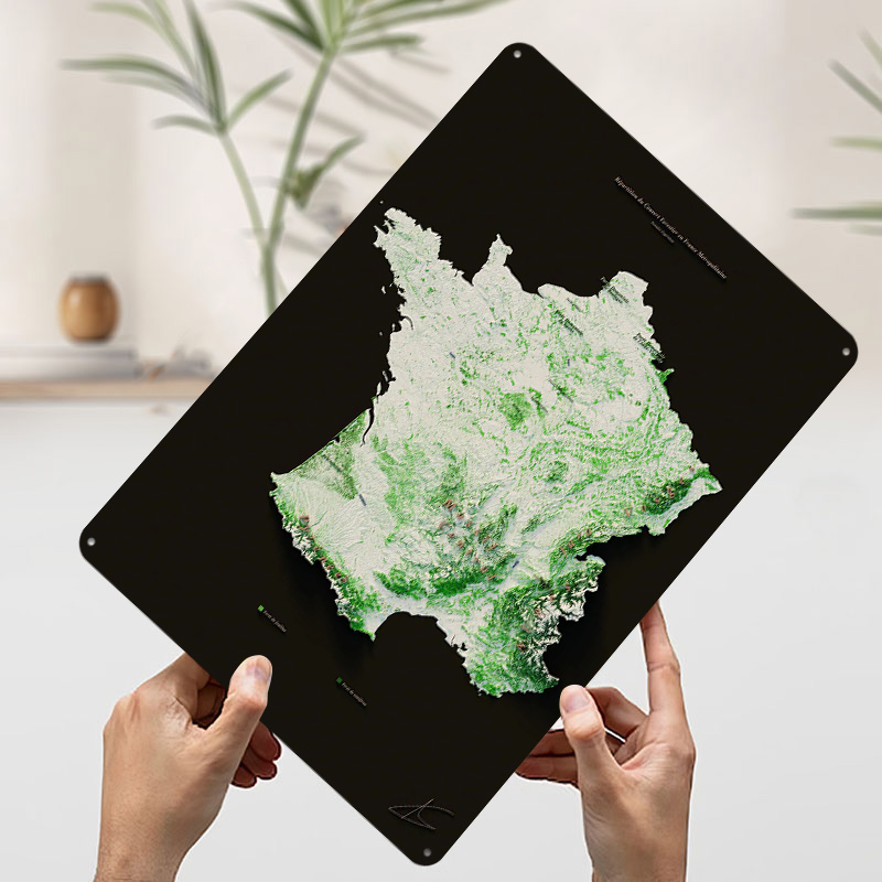 Massifs Forestiers Fran? ?ais- - Home Decor Ai reseña y precio