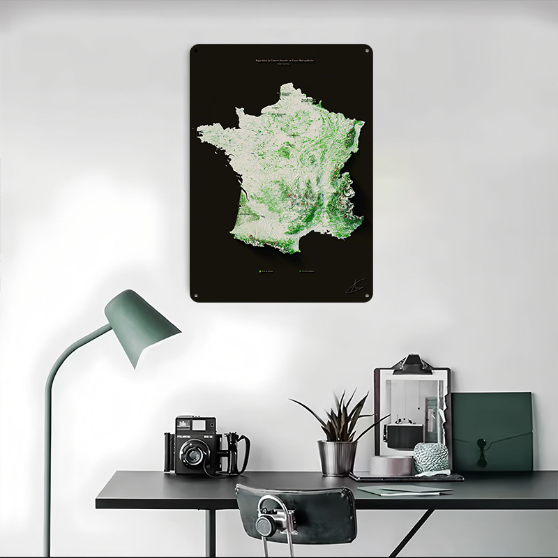 Massifs Forestiers Fran? ?ais- - Home Decor Ai reseña y precio